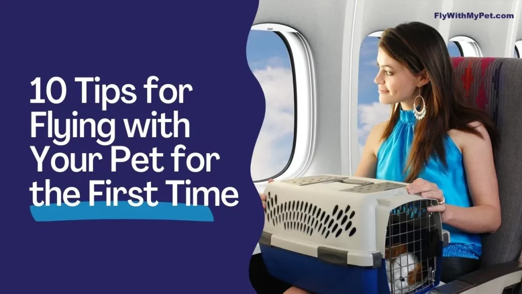 10 Tips for Flying with Your Pet for the First Time