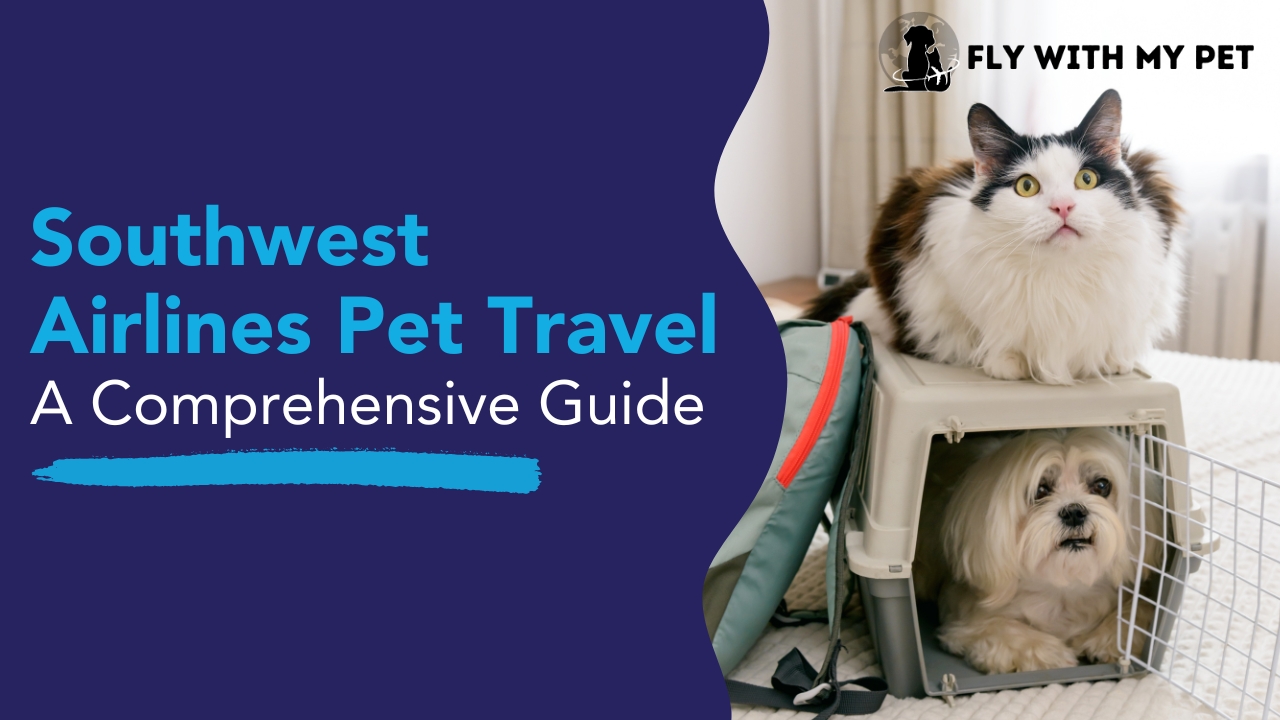 southwest pet cargo travel